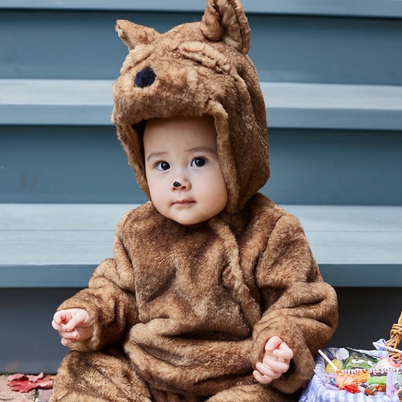 The Wizard of Oz Toto Baby Costume (PB) - Picture 3 of 10